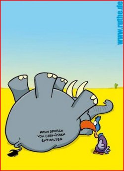 1Aufzeichnen.JPG