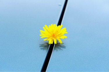 ImageUploadedByzroadster.com1410725489.039947.jpg