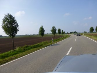 P1030441.JPG