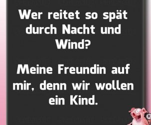 reiten.jpg