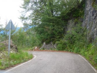 IMG_4387.jpg