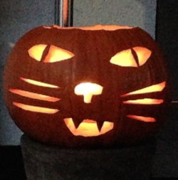 Halloweenkatze.jpg