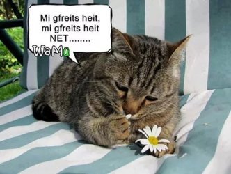 Mich_freuts_heute__mich_freuts_heute_nicht.jpeg