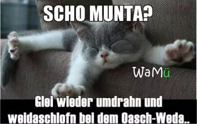 Schon_munter-gleich_wieder_umdrehen_und_weiterschlafen_bei_d.jpeg
