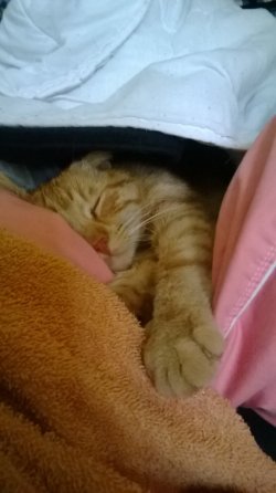 WP_20140901_003.jpg