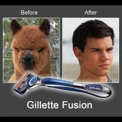 gilettefusion.jpg