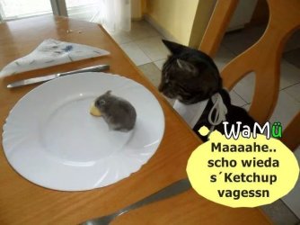 Schon_wieder_das_Ketchup_vergessen.jpeg