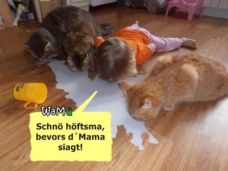 Schnell_helft_mir_bevor_es_die_Mama_sieht.jpeg