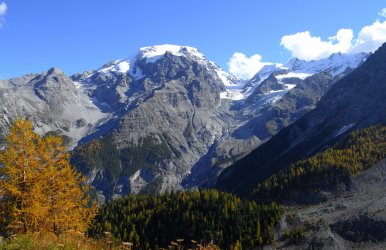 L1070228.jpg