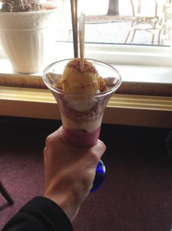 IMG_3135.JPG
