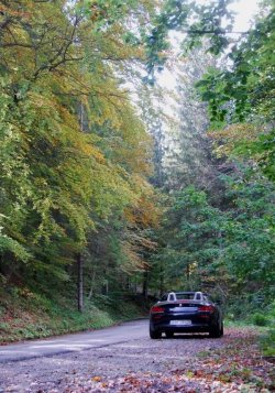 DSC_0014k.jpg