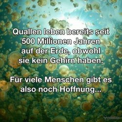 1413245033626.jpg