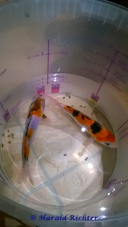 upload_2014-10-18_21-25-27.png
