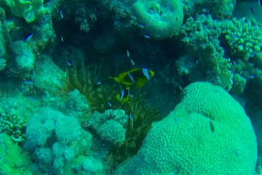 ImageUploadedByzroadster.com1414135214.550078.jpg ImageUploadedByzroadster.com1414135214.550078.jpg