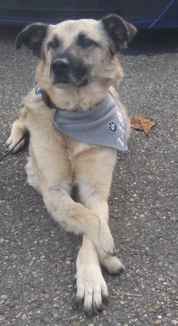 IMG_5543.JPG IMG_5543.JPG