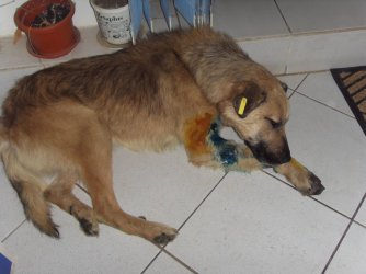 10683473_10152795909861468_6560807491104689703_o.jpg 10683473_10152795909861468_6560807491104689703_o.jpg