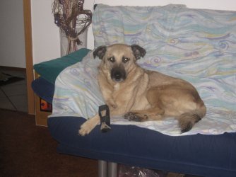 IMG_0440a.jpg IMG_0440a.jpg