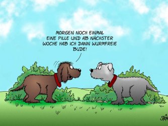 Folie12.JPG