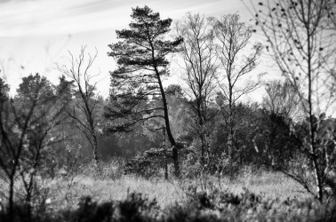 Herbst-06-4.jpg