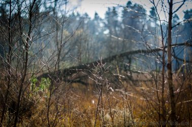 Herbst-06-6.jpg