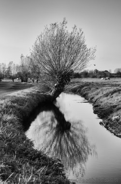 Herbst-07-2.jpg