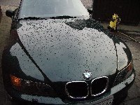 IMG_0460_200x150.JPG