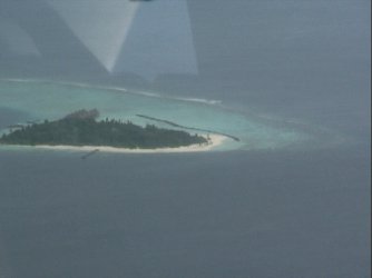 AUT_2178.JPG AUT_2178.JPG