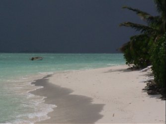 AUT_2110.JPG AUT_2110.JPG