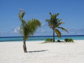Maldives 003.jpg