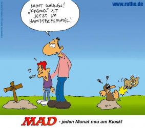 Hamsterhimmel.jpg