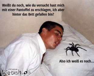 35852-spinne-erschlagen.jpg