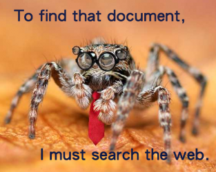 spiderseek.png