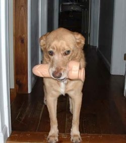 image.jpg
