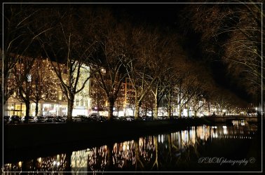 comp_DSC_5560.jpg