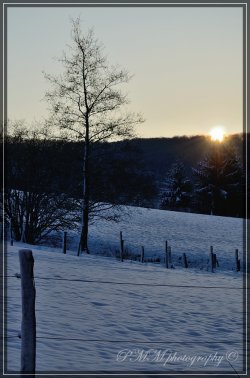comp_DSC_5693.jpg