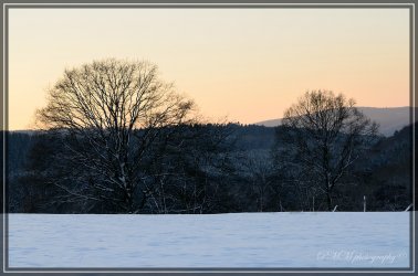 comp_DSC_5717_01.jpg