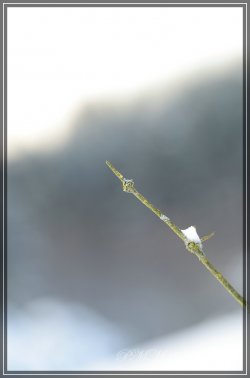 comp_DSC_5733.jpg