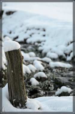 comp_DSC_5741.jpg