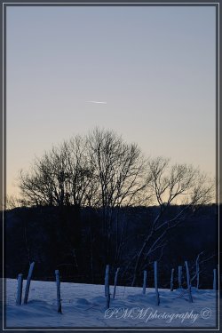 comp_DSC_5743.jpg