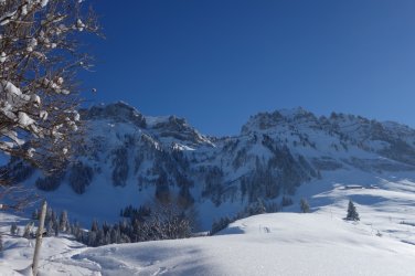 DSC04404.jpg