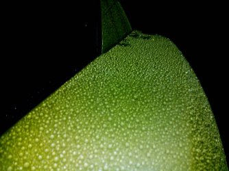 1420757111354.jpg