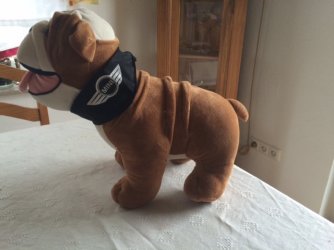 Mini Hund.JPG