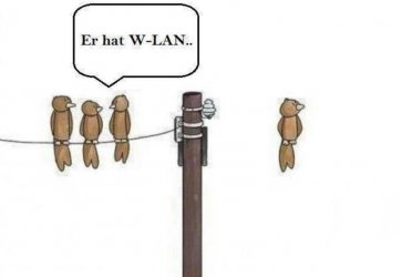 29587-w-lan-vogel.jpg