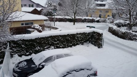 20150128_082531.jpg