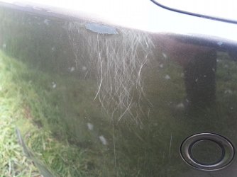 Lackschaden vorne.jpg