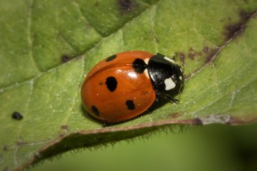 IMG_0037.jpg