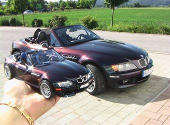 zZ800.jpg
