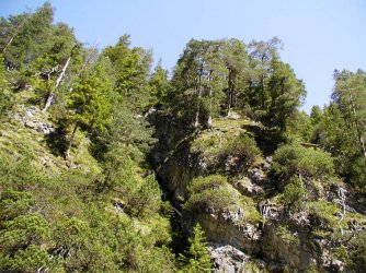 Dreiländereck 17.06.2006 015.jpg