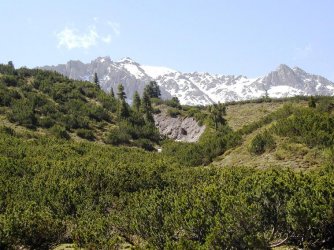 Dreiländereck 17.06.2006 019.jpg