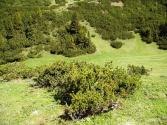 Dreiländereck 17.06.2006 020.jpg